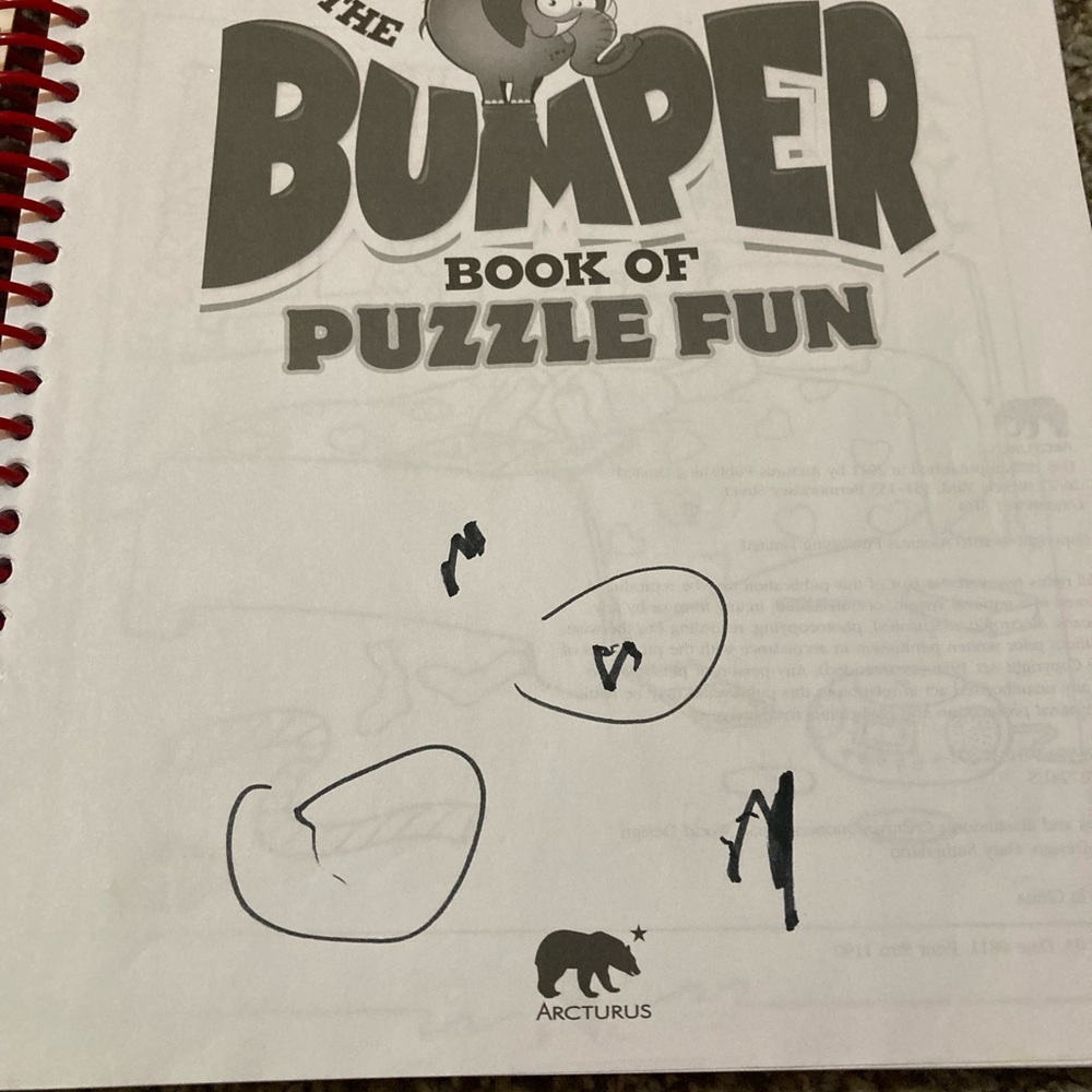 Fun Puzzle Activity Book - Picture 4 of 16